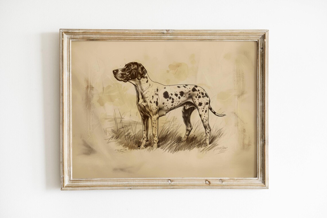 Hunting Dog Sketch GSP Vintage Nursery Art Print - Image 2