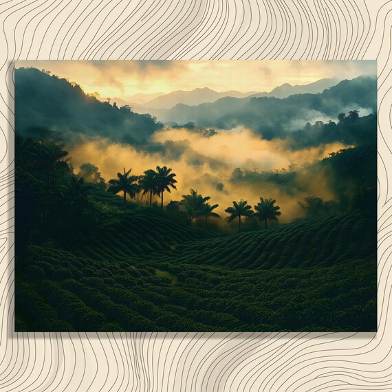 Misty Sunrise Plantation Hills Palm Trees Golden Fog Tropical Landscape Poster
