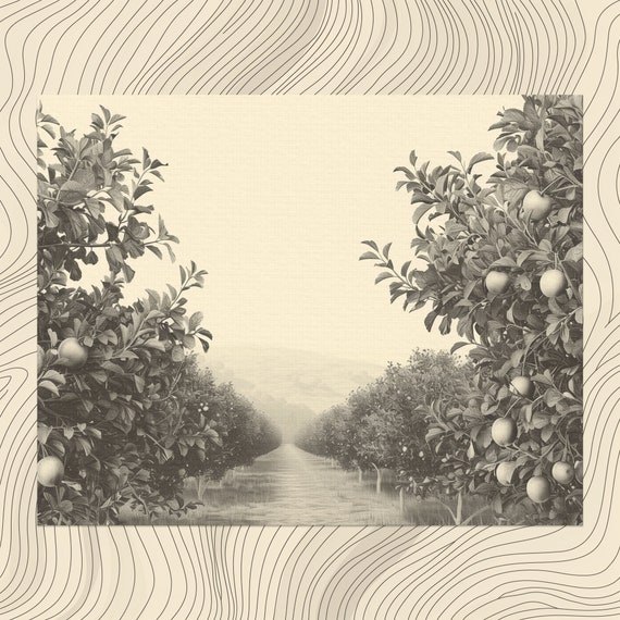 Orchard Minimalist Art Print, Black and White Nature