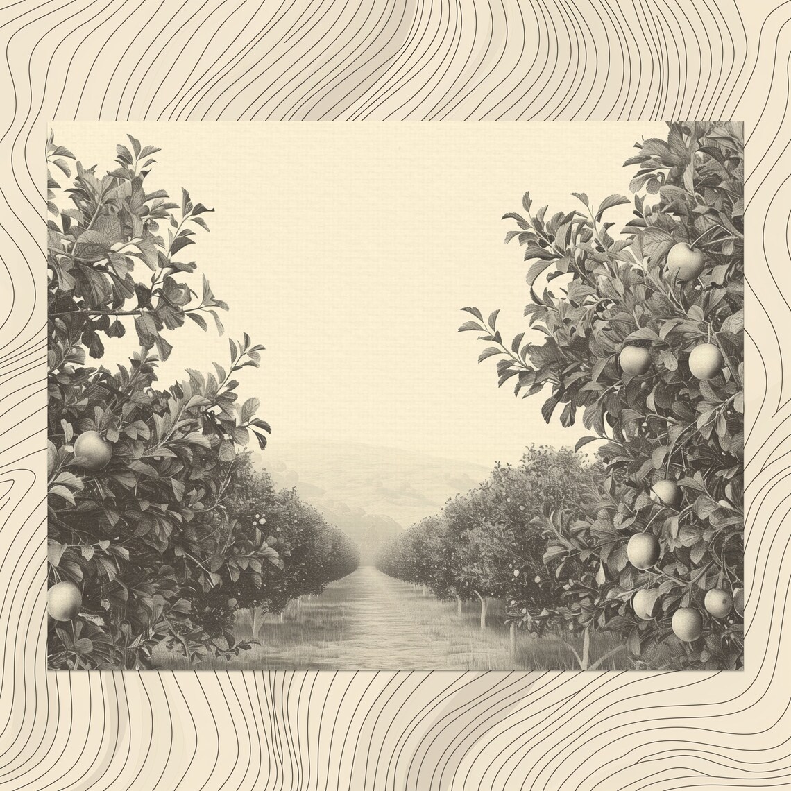 Orchard Minimalist Art Print, Black and White Nature