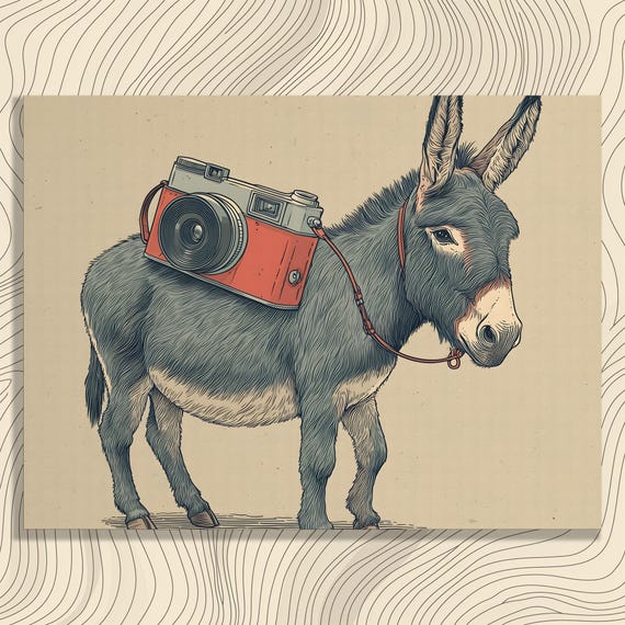 Minimalist Donkey Camera Canvas Wall Art Vintage Illustration Animal Portrait Print Modern Farmhouse Decor Photography Gift