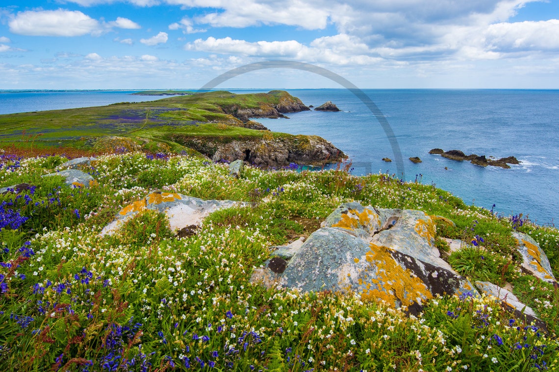 Saltee Islands County Wexford Republic Of Ireland Limited Edition Print Photography Wall Art Exclusive Print Poster Photos Ire - Image 3