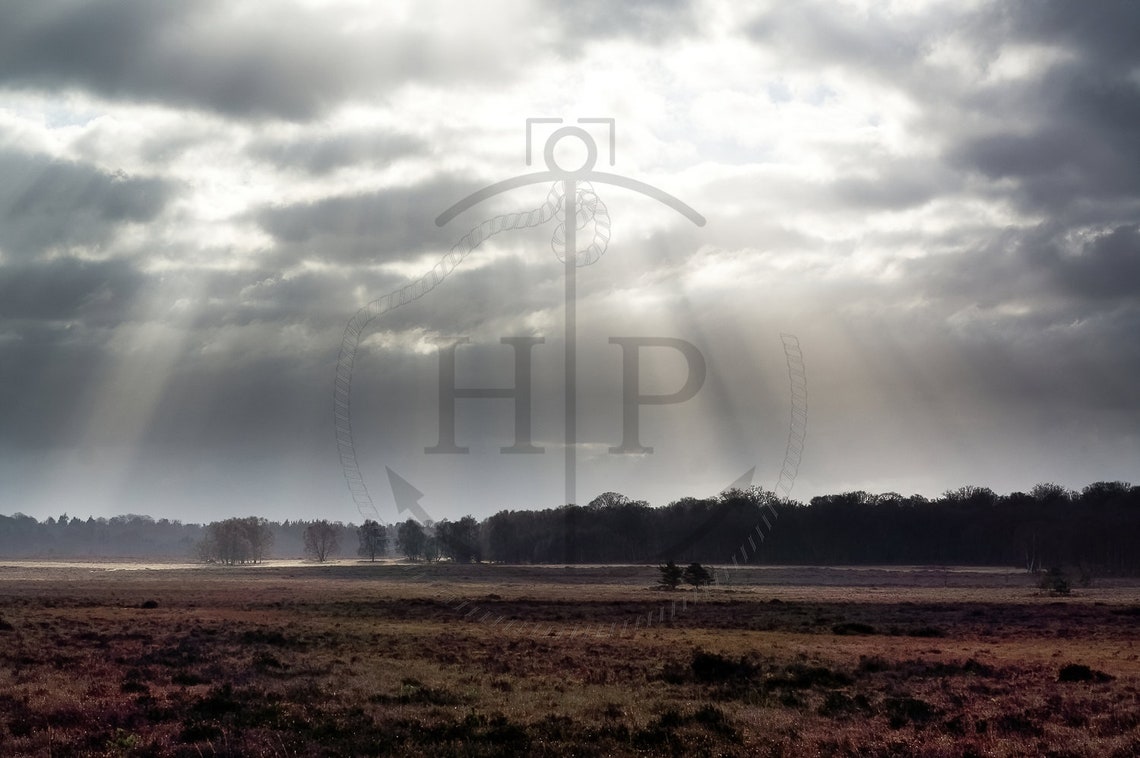 New Forest Hampshire Light Rays Through Clouds Dramatic Sky Poster - Image 3