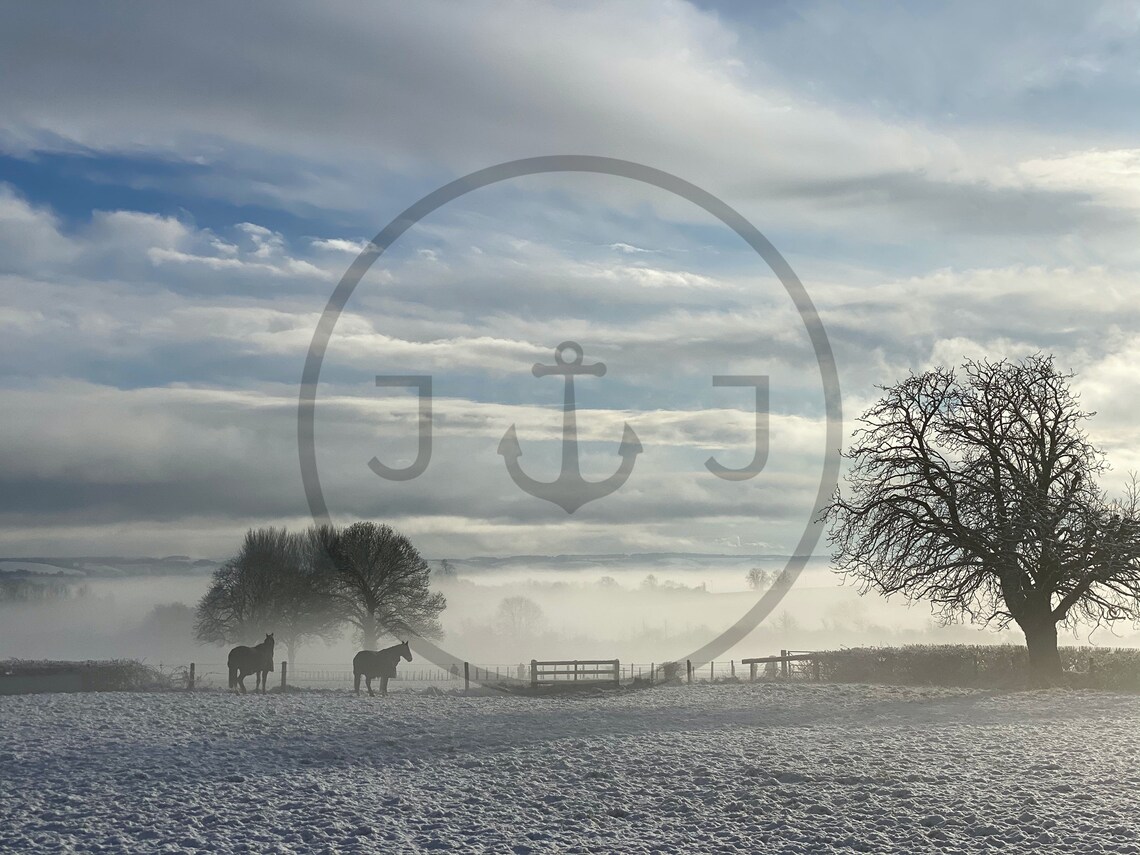 Dorset Countryside Horses Snowy Field Misty Winter Morning Poster - Image 3