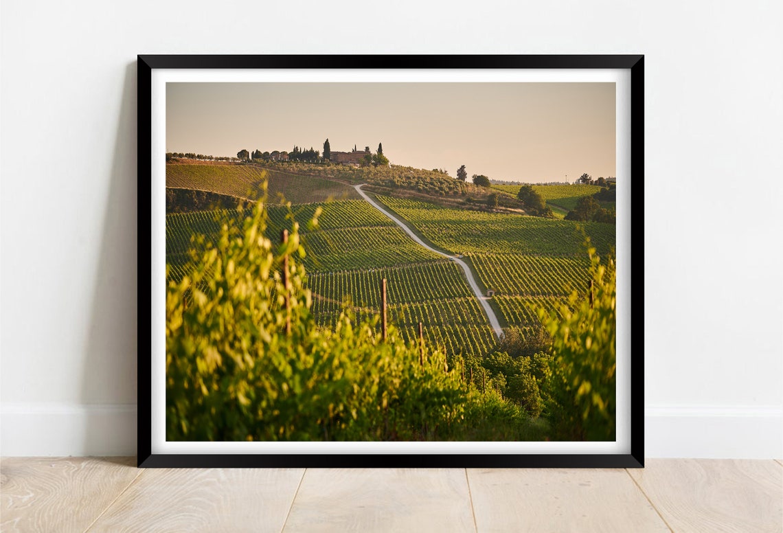 Tuscany Italy Vineyard Hills Cypress Lane Sunset View Poster