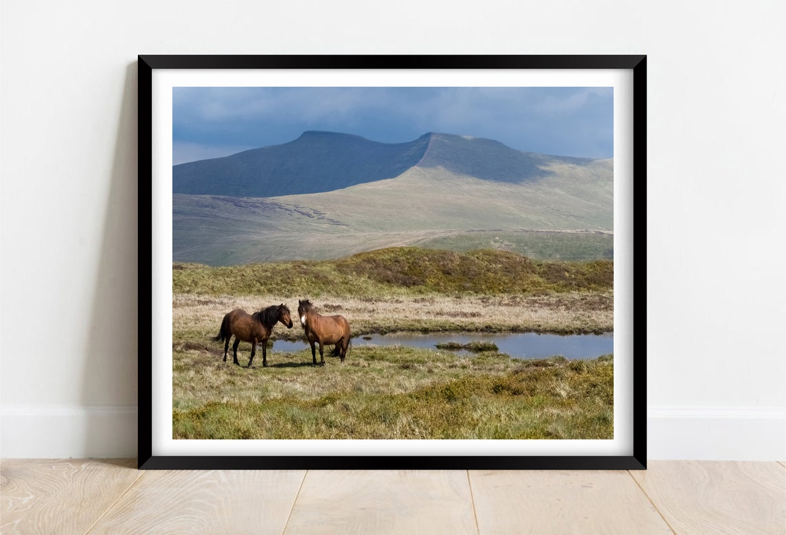 Pen Y Fan Wales Wild Ponies Mountain Moorland Landscape Poster
