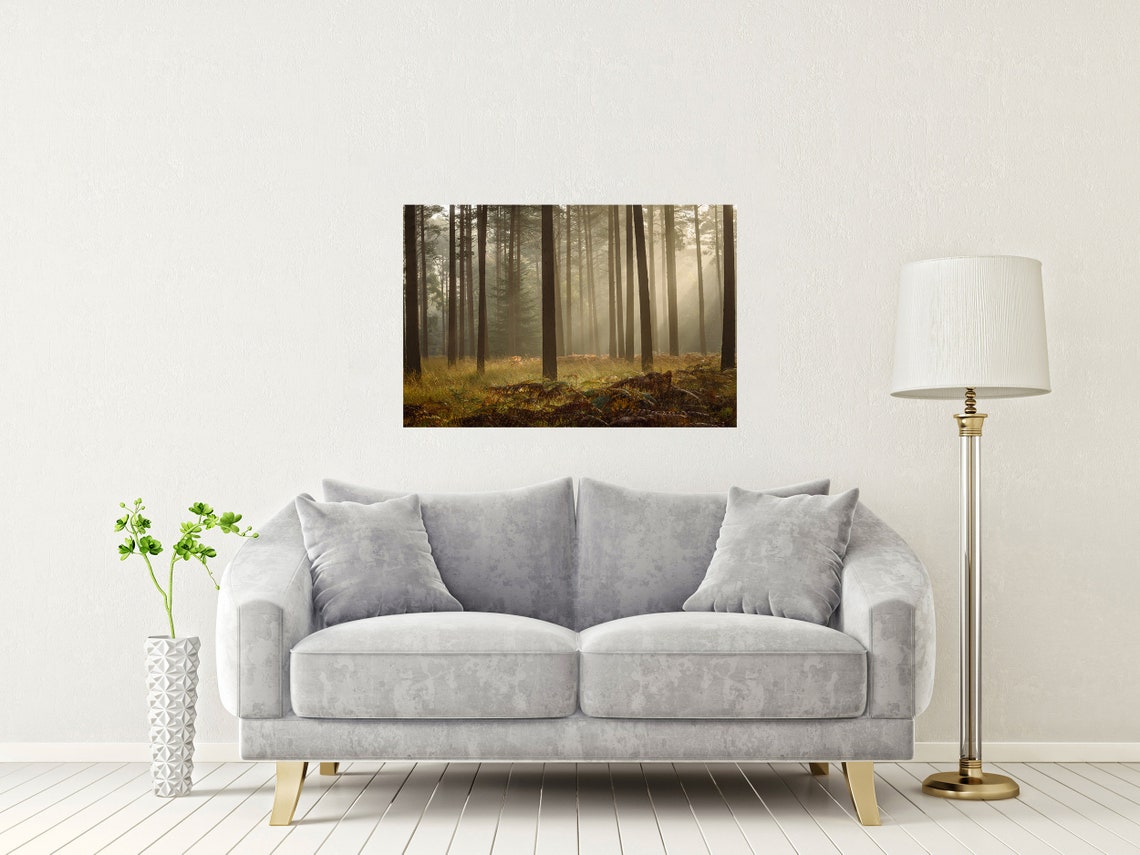 Misty Bolderwood Pine Forest Sunbeams New Forest Hampshire Poster - Image 2