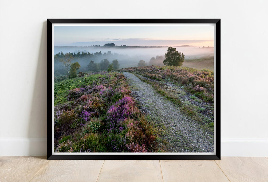 New Forest Heather Hampshire Blooming Moorland Path Mist Poster