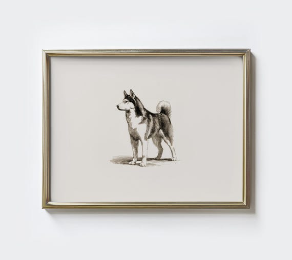 Siberian Husky Sketch Print Minimalist Dog Portrait Farmhouse Decor