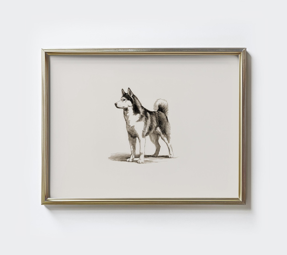 Siberian Husky Standing Sketch Minimalist Dog Portrait Poster
