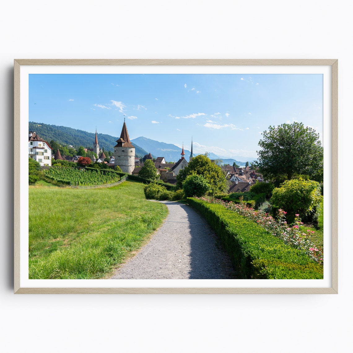 Sunlit Historic Town Path with Rose Hedges and Church Spires Poster