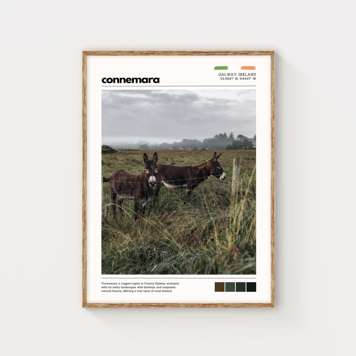 Connemara Ireland Wild Donkeys In Misty Rural Galway Field Poster