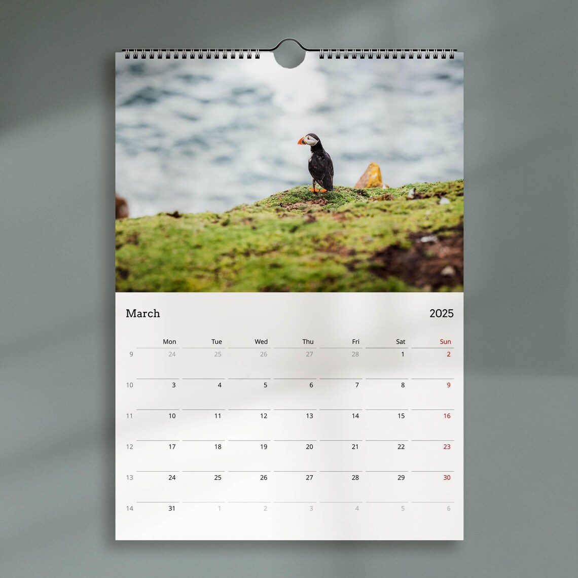 Puffin Wildlife Calendar, Bird Art Poster Print - Image 2