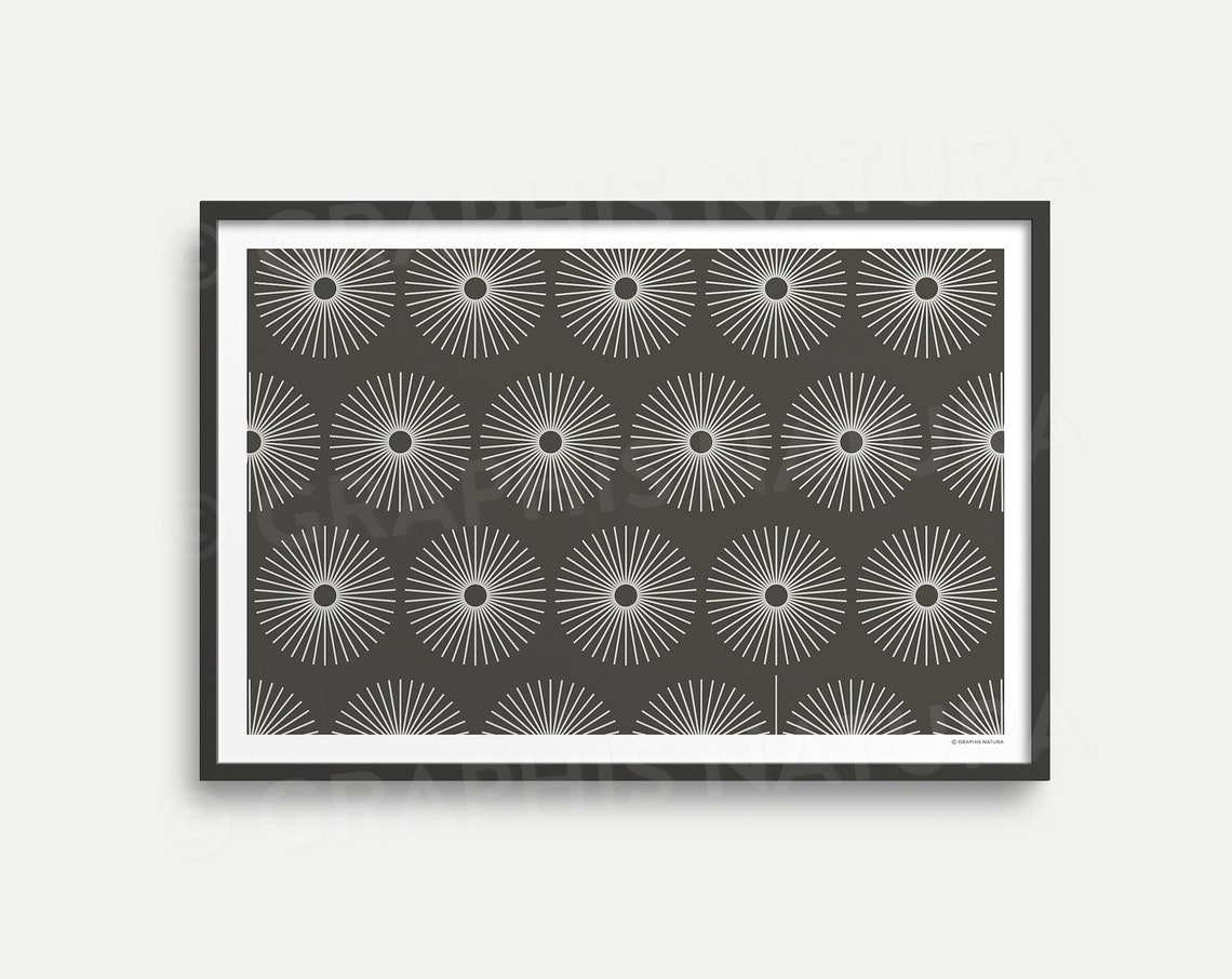 White Sunburst Flower Pattern on Charcoal Botanical Art Poster