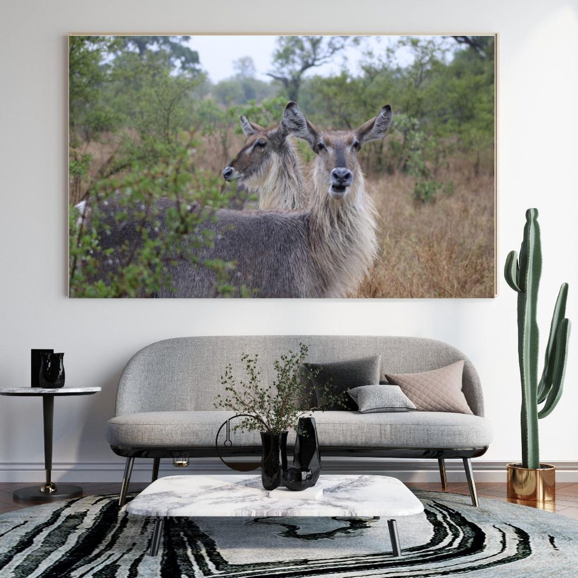 Two Waterbuck Antelope Standing Close In The African Savanna Poster
