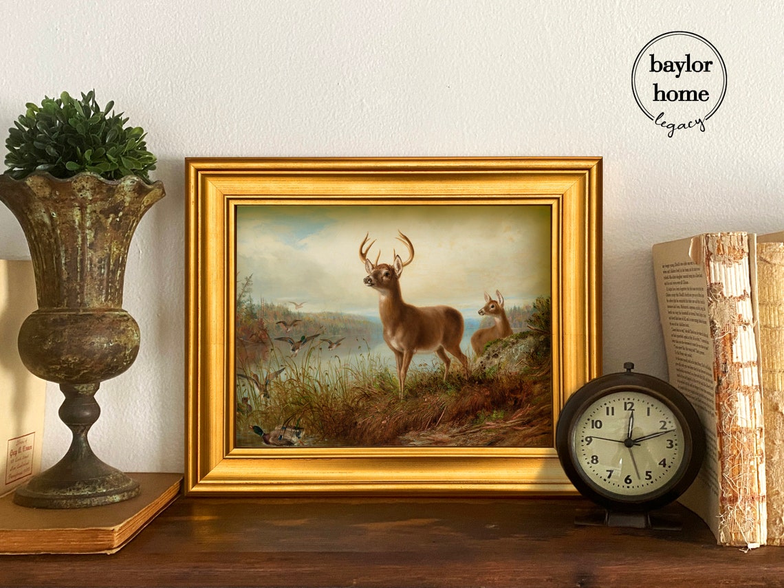 Buck And Doe With Mallard Ducks Vintage Deer Marsh Wildlife Art Poster - Image 3