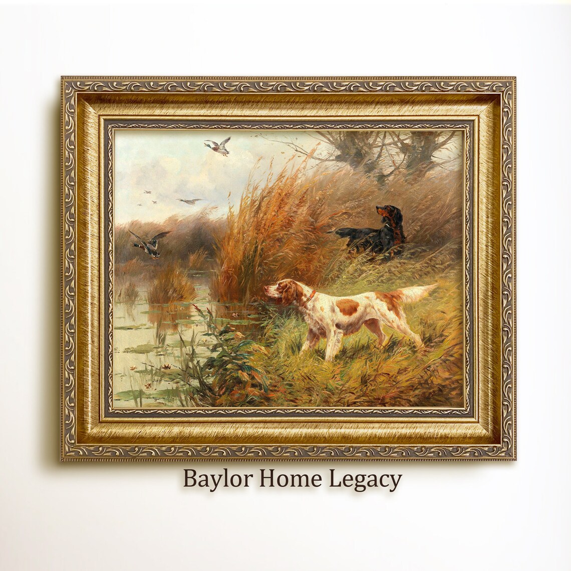 Pair Of Pointers Hunting Ducks, Vintage Dog Print