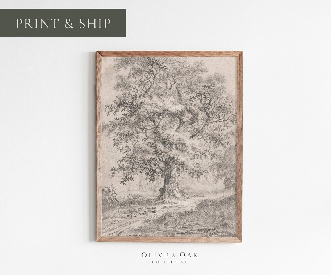 Vintage Tree Sketch, Rustic Tree Drawing Art Print