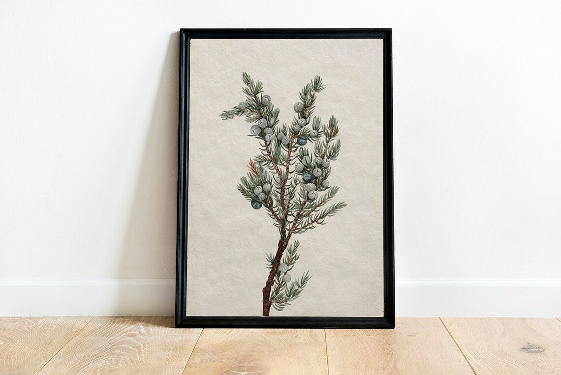 Vintage Botanical Winter Tree Branch Drawing Art Print - Image 3