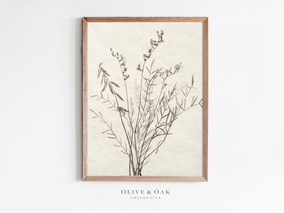 Vintage Botanical Floral Screen Print, Art Print