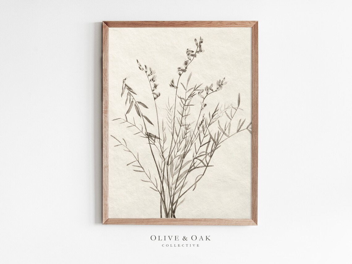 Vintage Botanical Floral Screen Print, Art Print