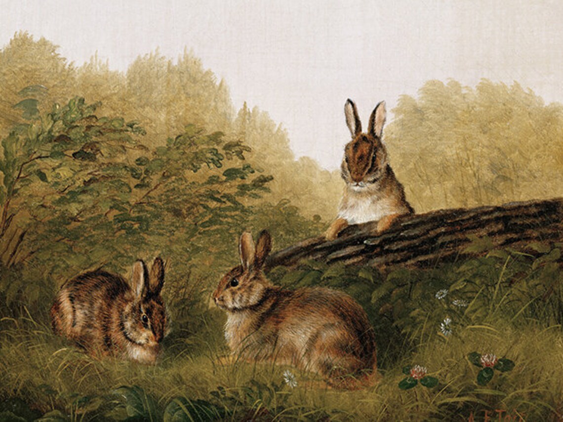 Bunny Painting, Country Nursery Wall Art - Image 4