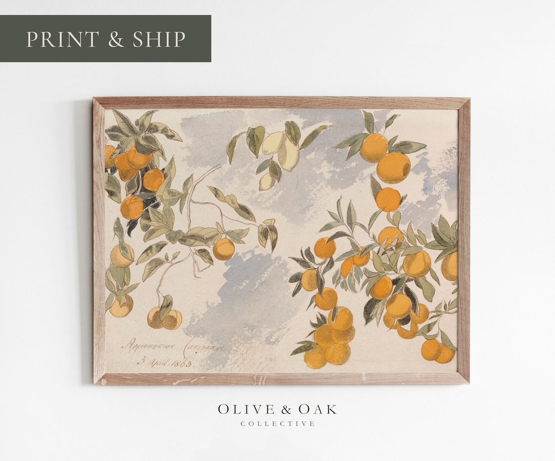 Vintage Botanical Lemon Painting, Farmhouse Kitchen