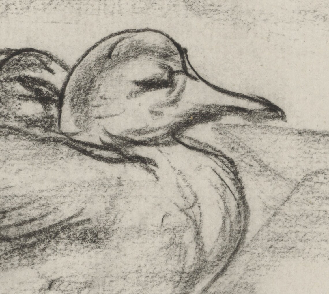 Vintage Duck Sketch Art Print, Rustic Farmhouse Decor - Image 4
