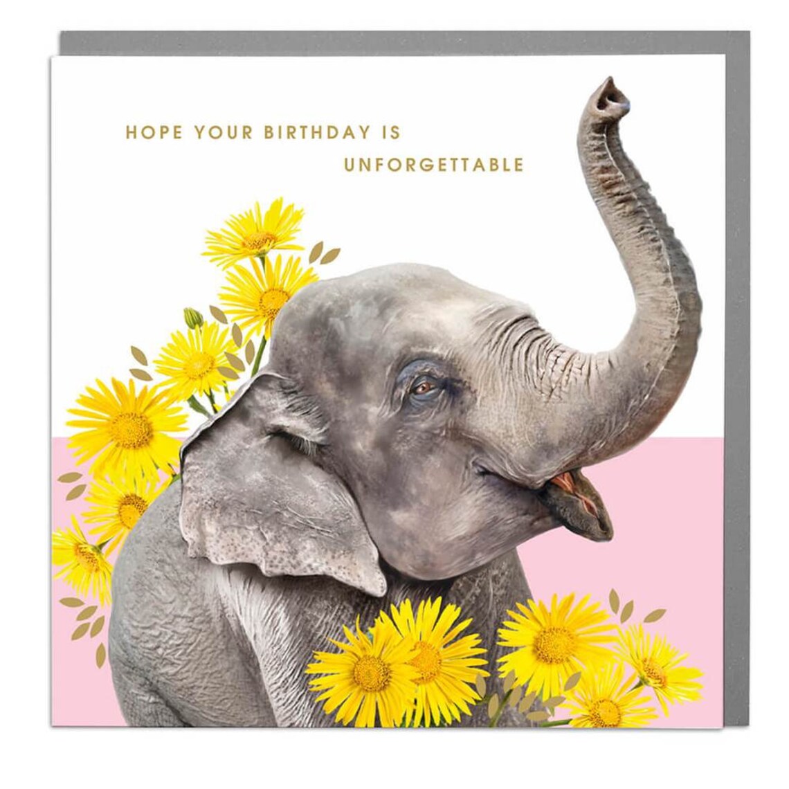 Happy Birthday Unforgettable Elephant Card