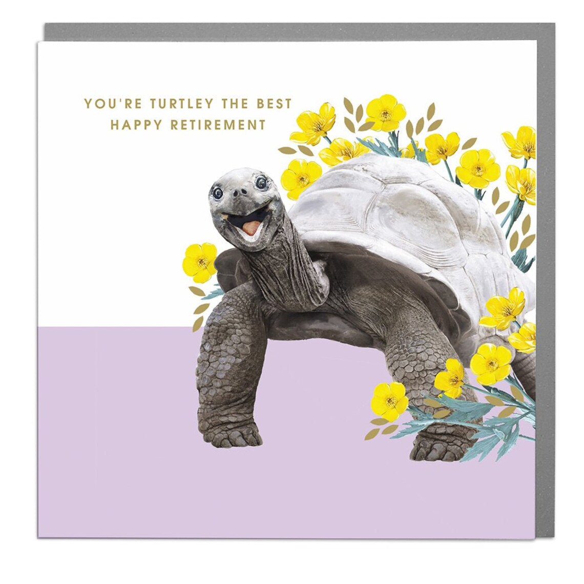 Retirement Congratulations Turtle Art Print