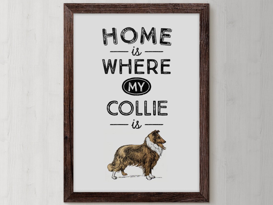 Home Is Where My Collie Is Collie Dog Quote Poster for Lovers