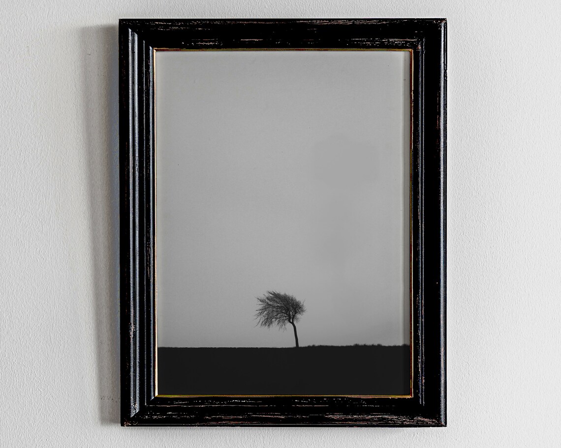 Lone Tree Silhouette Minimalist Black and White Photography Poster