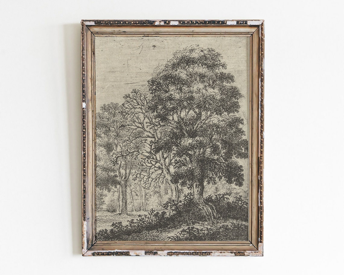 Vintage Botanical Tree Engraving Antique Forest Sketch Art Poster