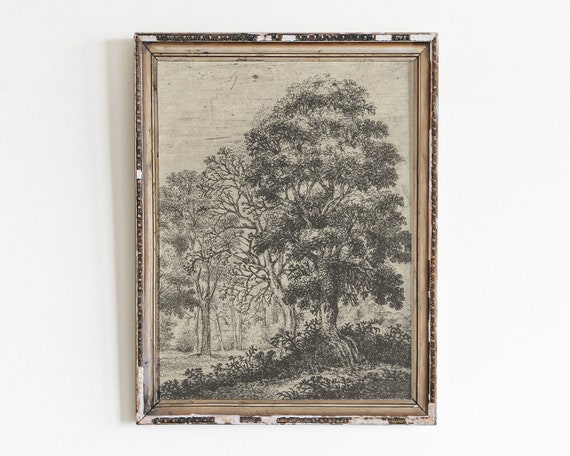 Vintage Tree Sketch Art Print Charcoal Drawing