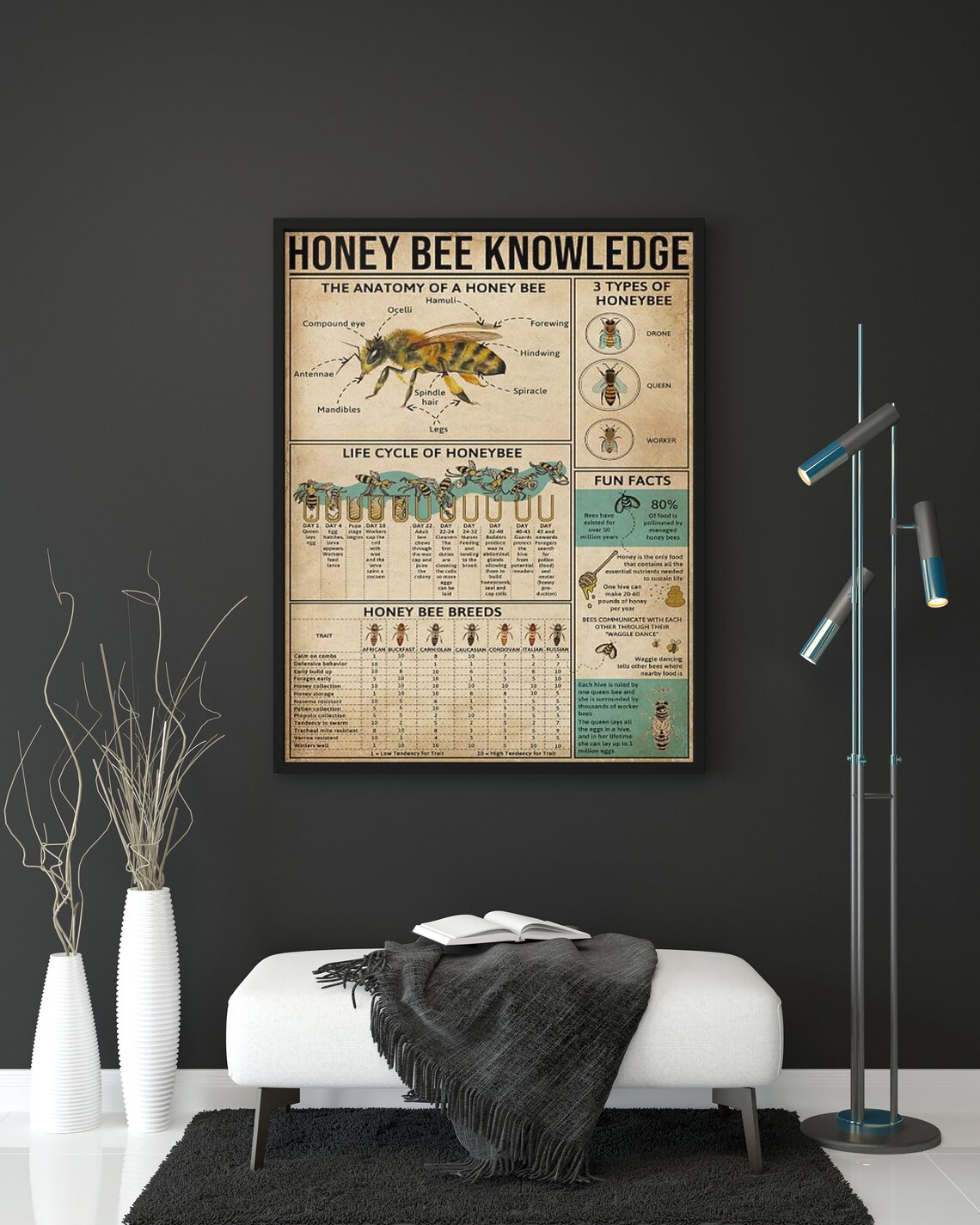 Honey Bee Knowledge, Anatomy and Life Cycle Poster - Image 2
