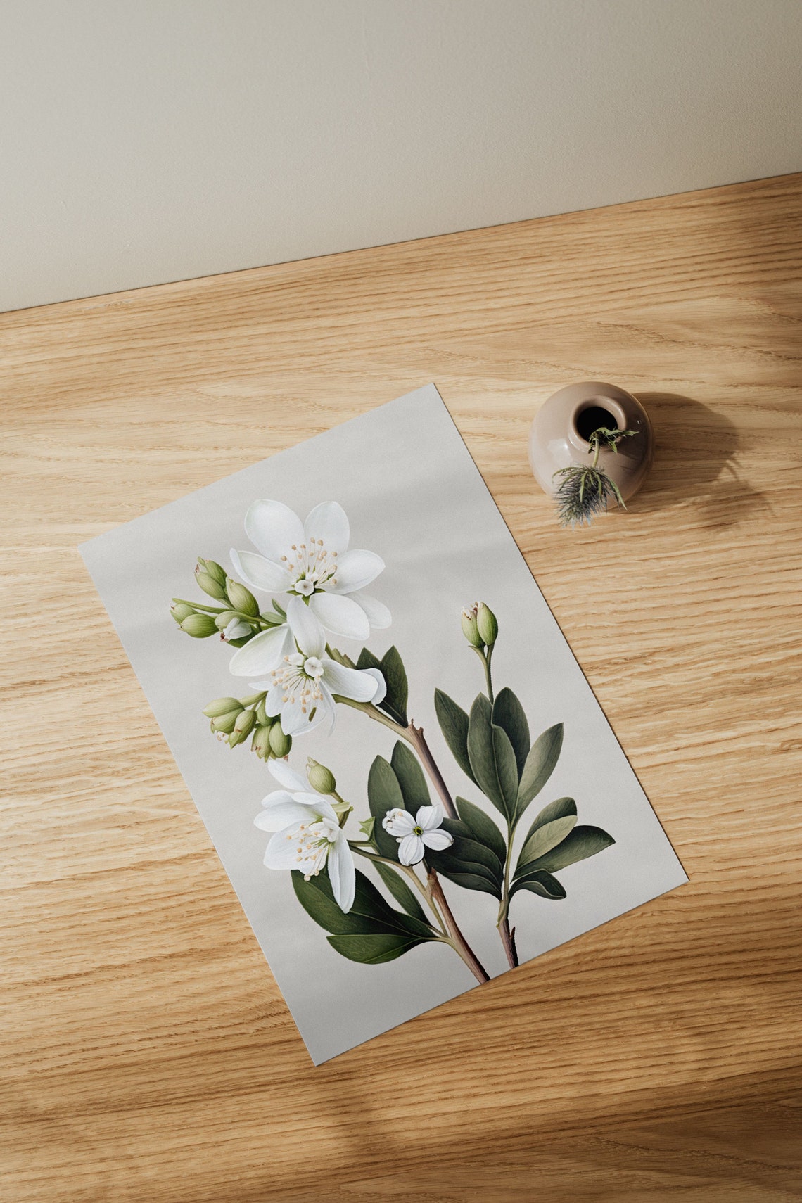 White Blossom Botanical Illustration Vintage Flower Wall Art