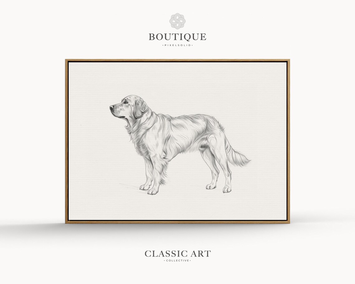 Golden Retriever Standing Profile Minimalist Sketch Art Print