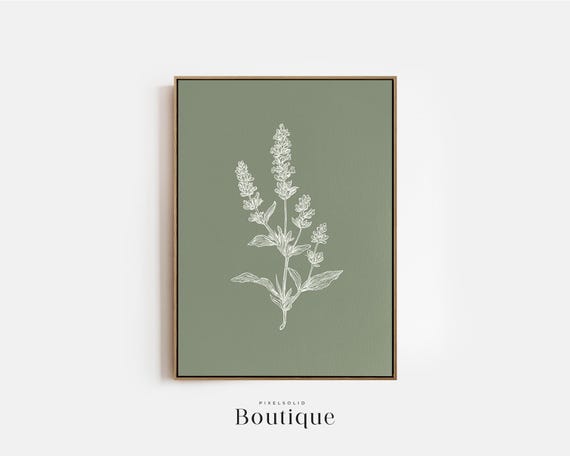 Lavender Botanical Print On Soft Sage Green Background Minimalist Flower Wall Art Living Room Or Bedroom Decor Minimal No443
