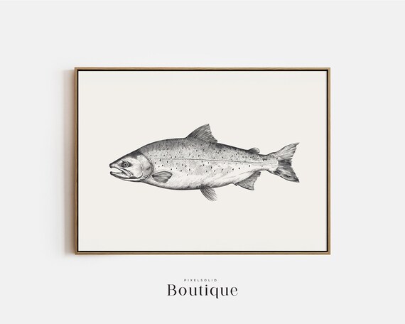 Salmon Sketch Neutral Fish Illustration Print Farmhouse Fishing Wall Decor Drawing Minimalist No410