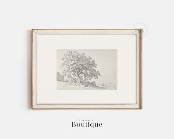 Oak Tree Sketch Black And White Nature Artwork Handdrawn Landscape Vintage Style Wall Art No632