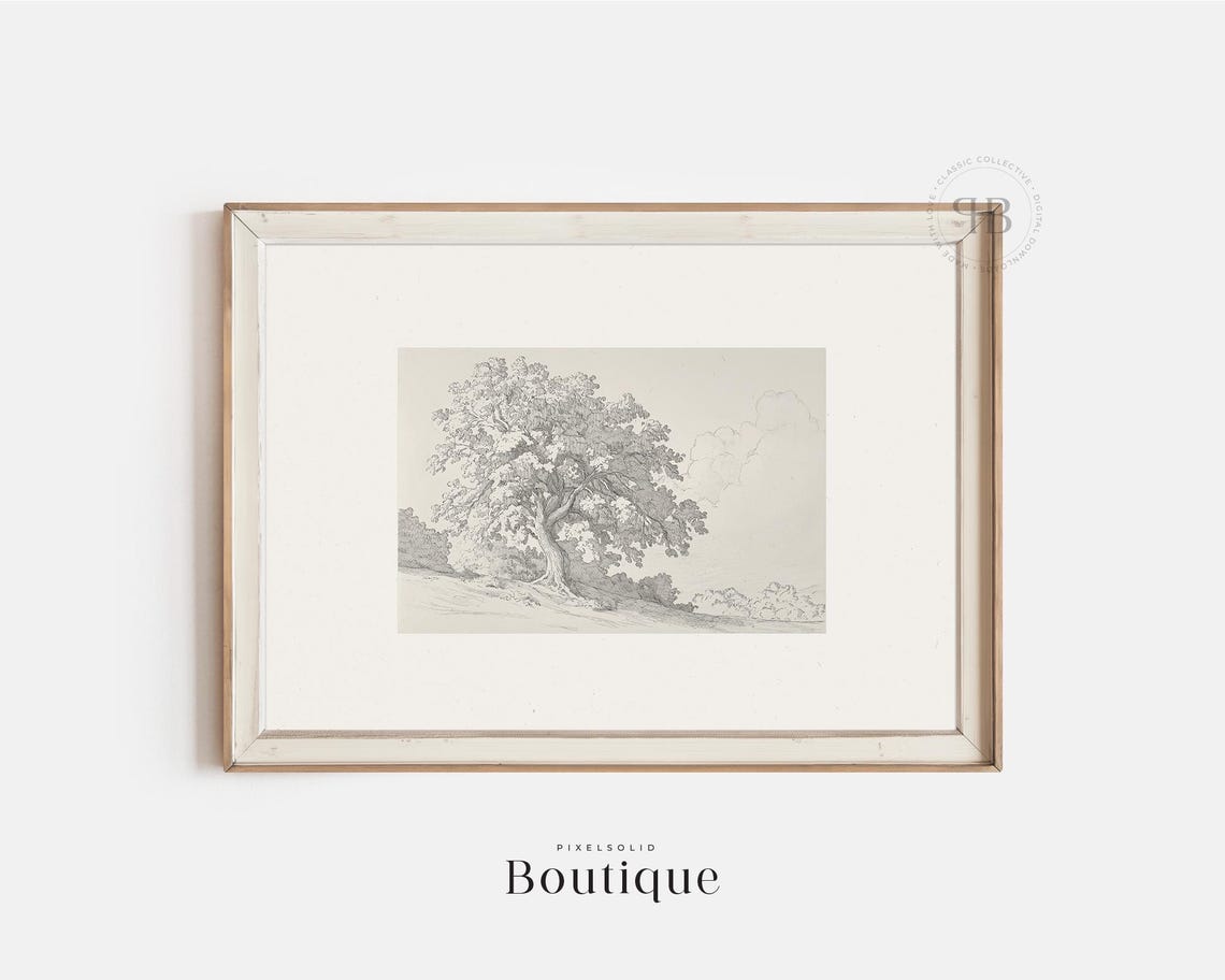 Hand Drawn Oak Tree Vintage Landscape Pencil Sketch Fine Art Print