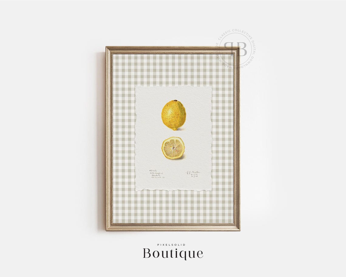 Lemon Botanical Fruit Print Antique Citrus Illustration Farmhouse Kitchen Wall Art Decor Vintage Style No796