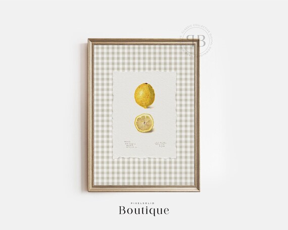 Lemon Botanical Whole Sliced Citrus Vintage Kitchen Gingham Art Print