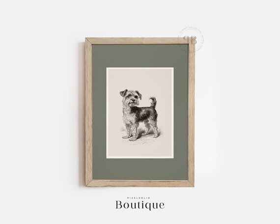 Dog Art Print Of Yorkshire Terrier Drawing Classic Black And White Pet Illustration Yorkie Wall Decor For Lovers Animal Sketch No470