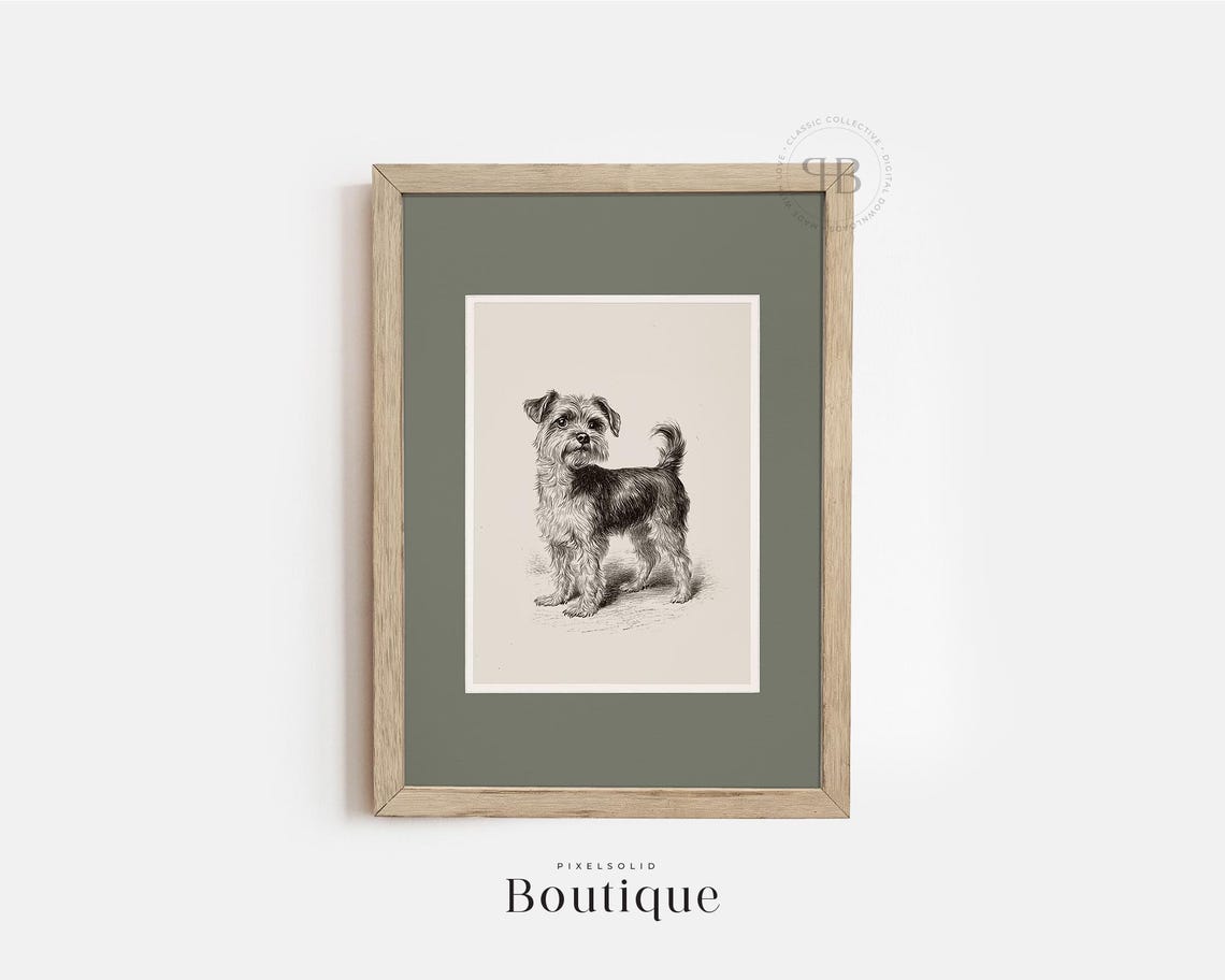 Yorkshire Terrier Dog Antique Black And White Portrait Sketch Poster