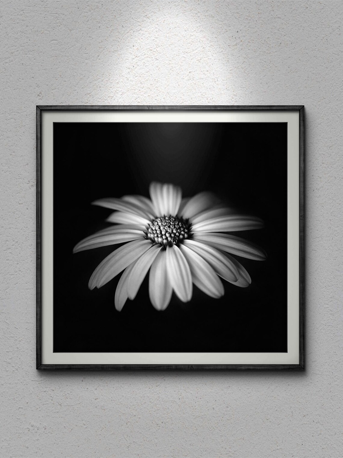 Black And White Daisy With Depth, Elegant Floral Art - Image 3