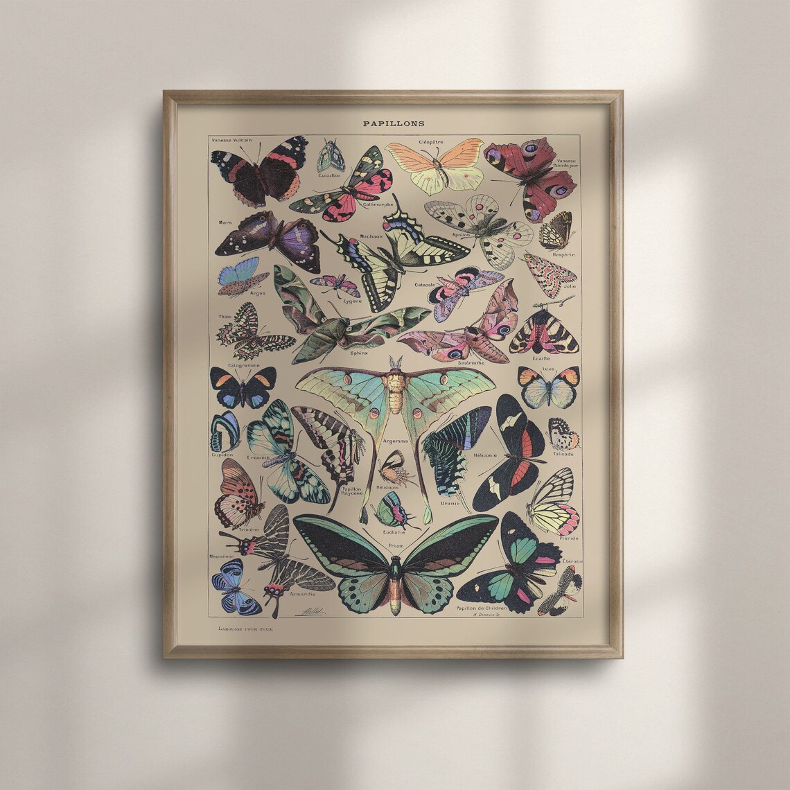 Adolphe Millot Butterfly Vintage Botanical Poster - Image 2
