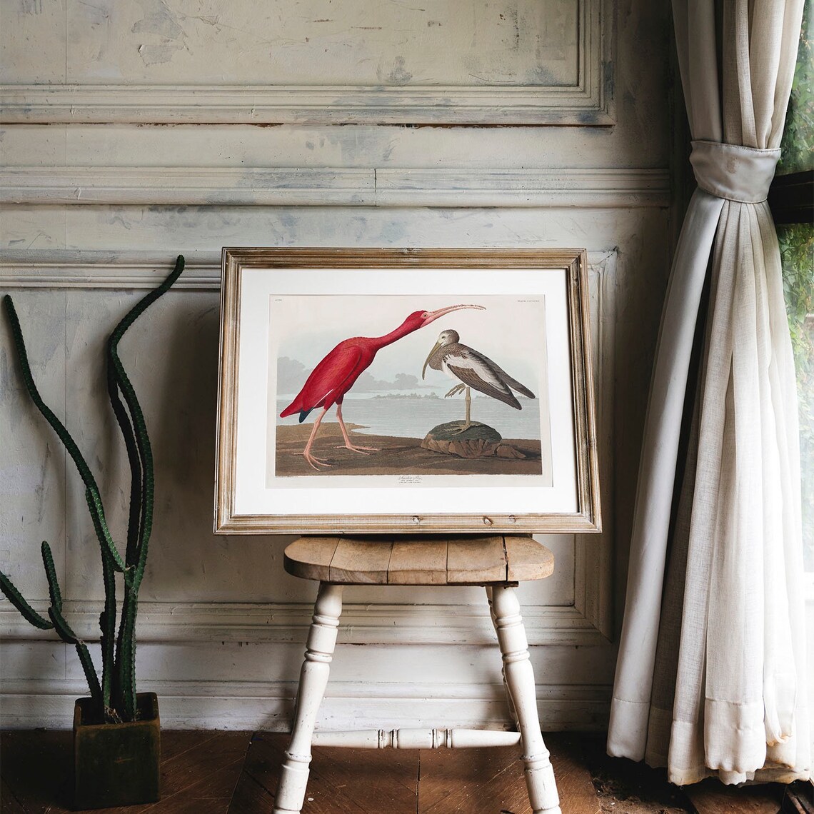 Scarlet Ibis Vintage Bird Drawing Art Print - Image 4