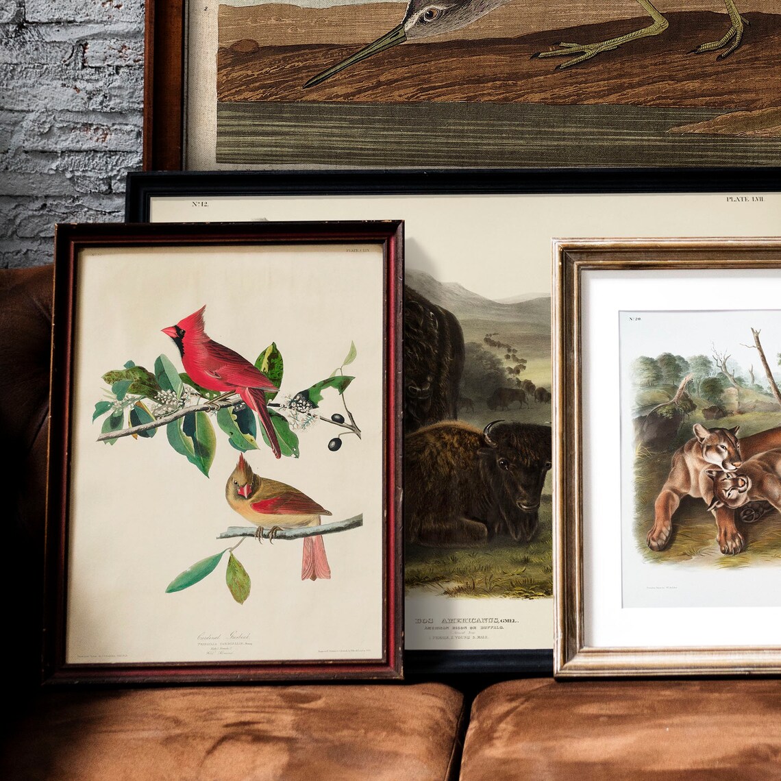 Cardinal Grosbeak Antique Bird Painting, Vintage Art Print - Image 2