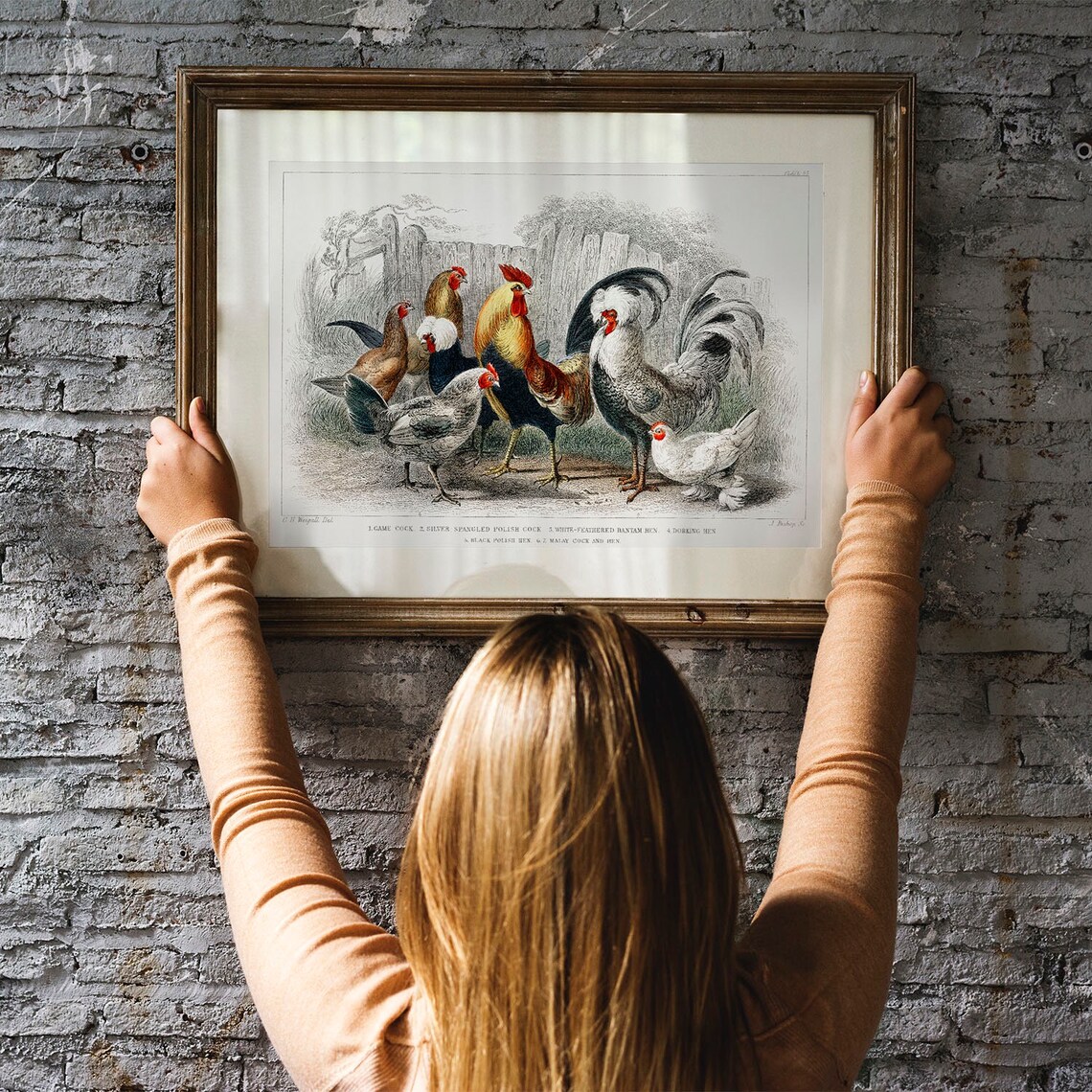 Farm Animals Antique Animal Drawing, Vintage Poster - Image 3